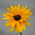 Michael Coonan - @mike_coonan1 - Instagram