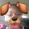 @kadhicopson - @michaelcopson - TikTok