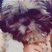 Liam Michael Copson - Facebook