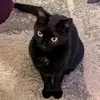 Michael Cornell - @michael.cornell7 - TikTok