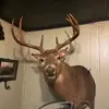 Michael ❌️Cornett - @michael.cornett02 - TikTok