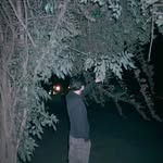 Michael M Corning - @michael_m_corning - Instagram