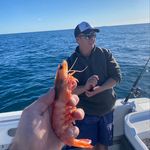 Michael Correll - @pickles.correll - Instagram