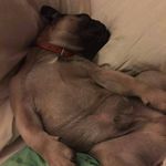 Michael A. Corrigan - @michaela._corrigan - Instagram