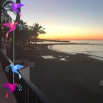 Michael Corrigan - @michael.corrigan1450 - Instagram