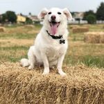 Michael Corsi - @michael_corsi_m - Instagram