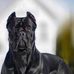 Michael Corso - Facebook