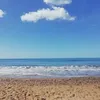 Michael Cotta335 - @michaelcotta0 - TikTok