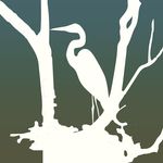 Michael Cottone - @thegreenkingdom - Instagram