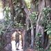 Michael Coulon - Facebook