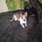 Michael Counterman - Facebook