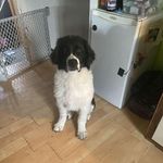 Michael Courchesne - @beasttower - Instagram