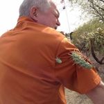 Michael Courchesne - @mikec7738 - Instagram