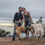 Michael Covello - @lashleyttv - Instagram