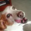 Michael Coyle - @michael.coyle05 - TikTok