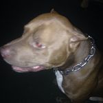 Michael Craddock - @eleit_country_kid - Instagram