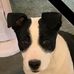 Michael Craddock - Facebook