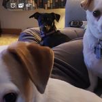 Michael Craft - @michael.craft - Instagram