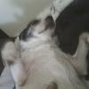 Michael Craver739 - @michaelcraver0 - TikTok
