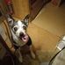 Michael Craver - Facebook