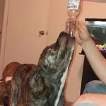Michael Cregger - @michael.cregger.587 - Instagram