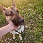 Michael Crismon - @crismonm - Instagram