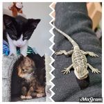 Michael Jordan Cropper - @michaelcropper873 - Instagram