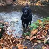 Michael Crosbie - @michael.crosbie94 - TikTok