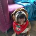 Michael Crossley - Facebook