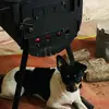 Michael Cross - @michael.cross982 - TikTok