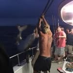 Michael Crosswell - @michaelcrosswell1 - Instagram