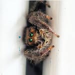 Michael Croucher - @critter.pix - Instagram