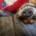 Michael Croucher - Facebook