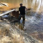 Michael Crowson - @mtwildlifeservice - Instagram