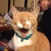 Michael Croy - Facebook