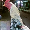 Michael Croy - @michaelcroy_7818 - TikTok