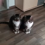 Michael Csehan - @michaelcsehan - Instagram
