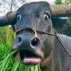 Michael Cuartas - @michael.cuartas7 - TikTok