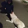 Michael Cubero - @michaelcubero - TikTok