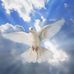 Michael Cuddihy - Facebook