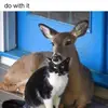 Michael Cuddy - @michael.cuddy - TikTok
