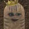 MichaelJMcGillicuddy - @michaeljmcgillicuddy - TikTok