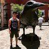 Michael Cuervo - @michaelcuervo24 - TikTok