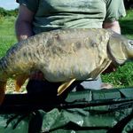 Michael Cuff - @mirrorcarp28 - Instagram