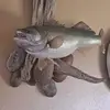 Michael Cuffe - @michael.cuffe6 - TikTok