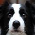 Michael Cupit - Facebook