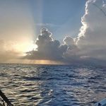 Michael Curlee - @gabulldog39 - Instagram