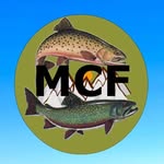 Michael Currey - @michaelcurreyfishing - Instagram