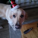 Michael Cusick - @cusick9781 - Instagram
