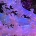 Michael Cusick - Facebook